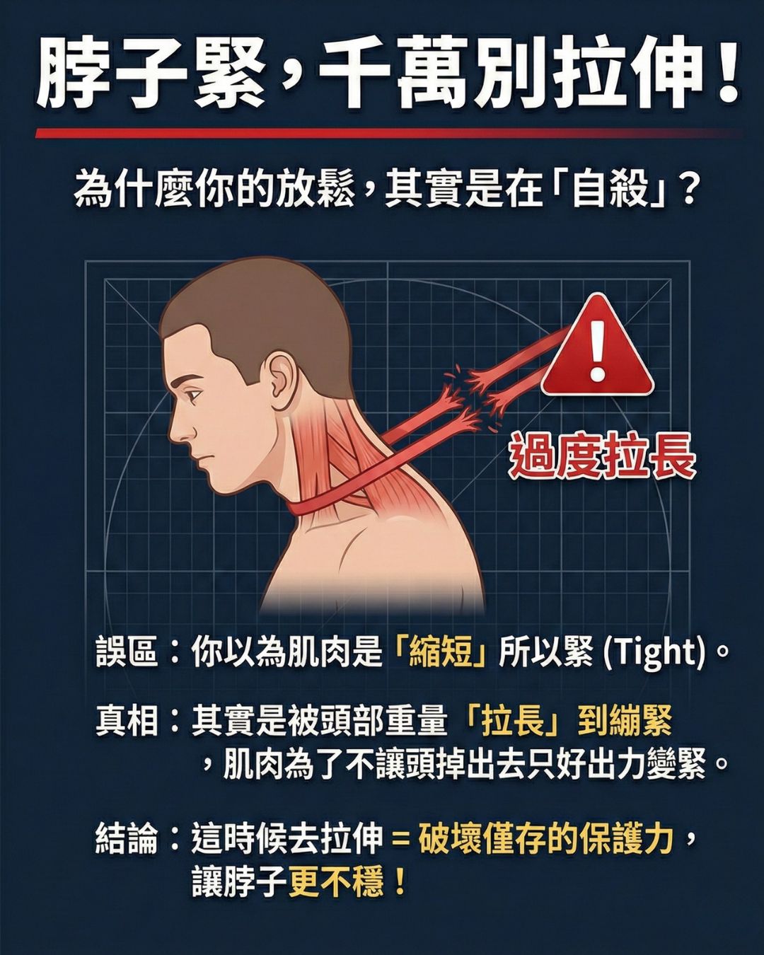 頸部肌肉張力與橡皮筋原理示意