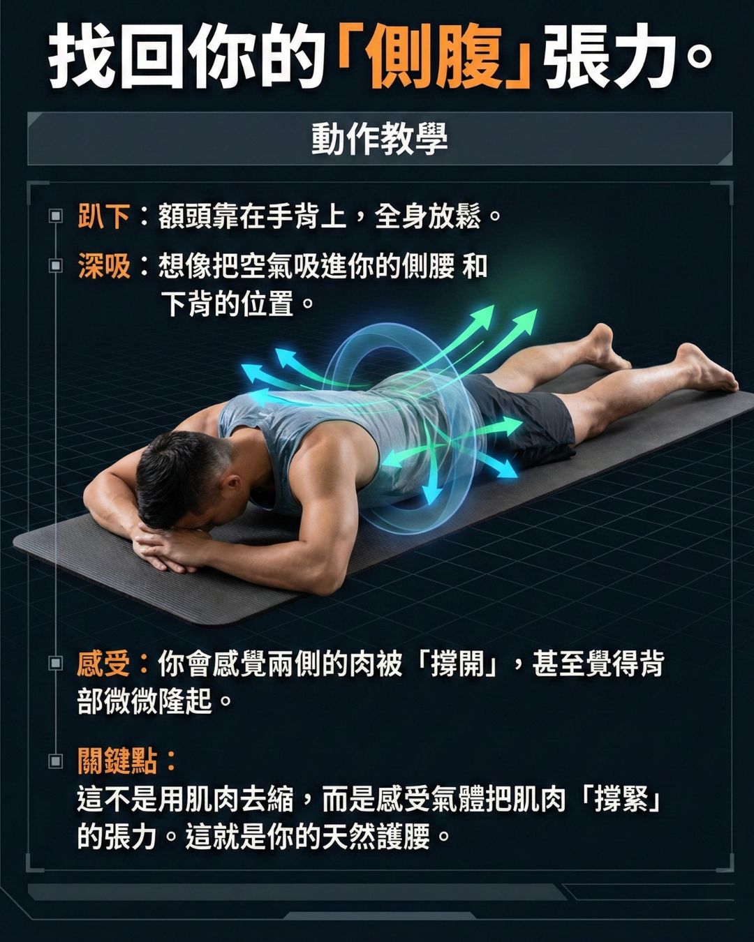 側腹擴張與核心剛性建立示意圖