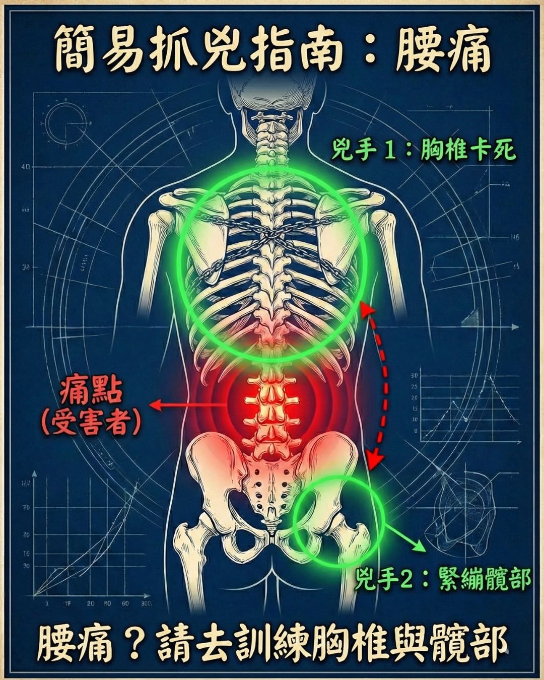 僵硬關節與代償痛點的關係
