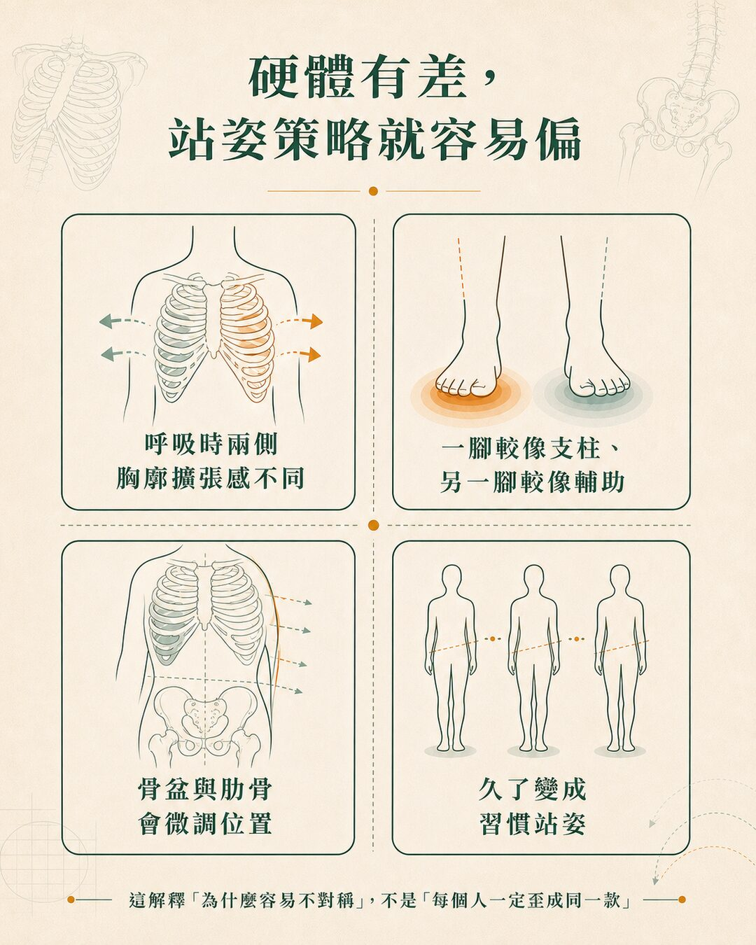 研究怎麼說左右承重