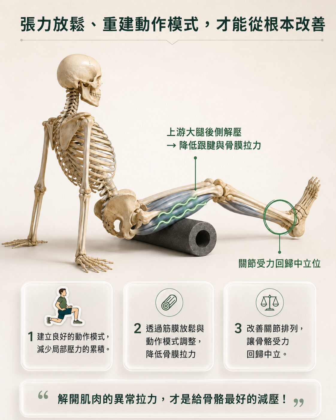 降低肌肉張力與力學調整示意
