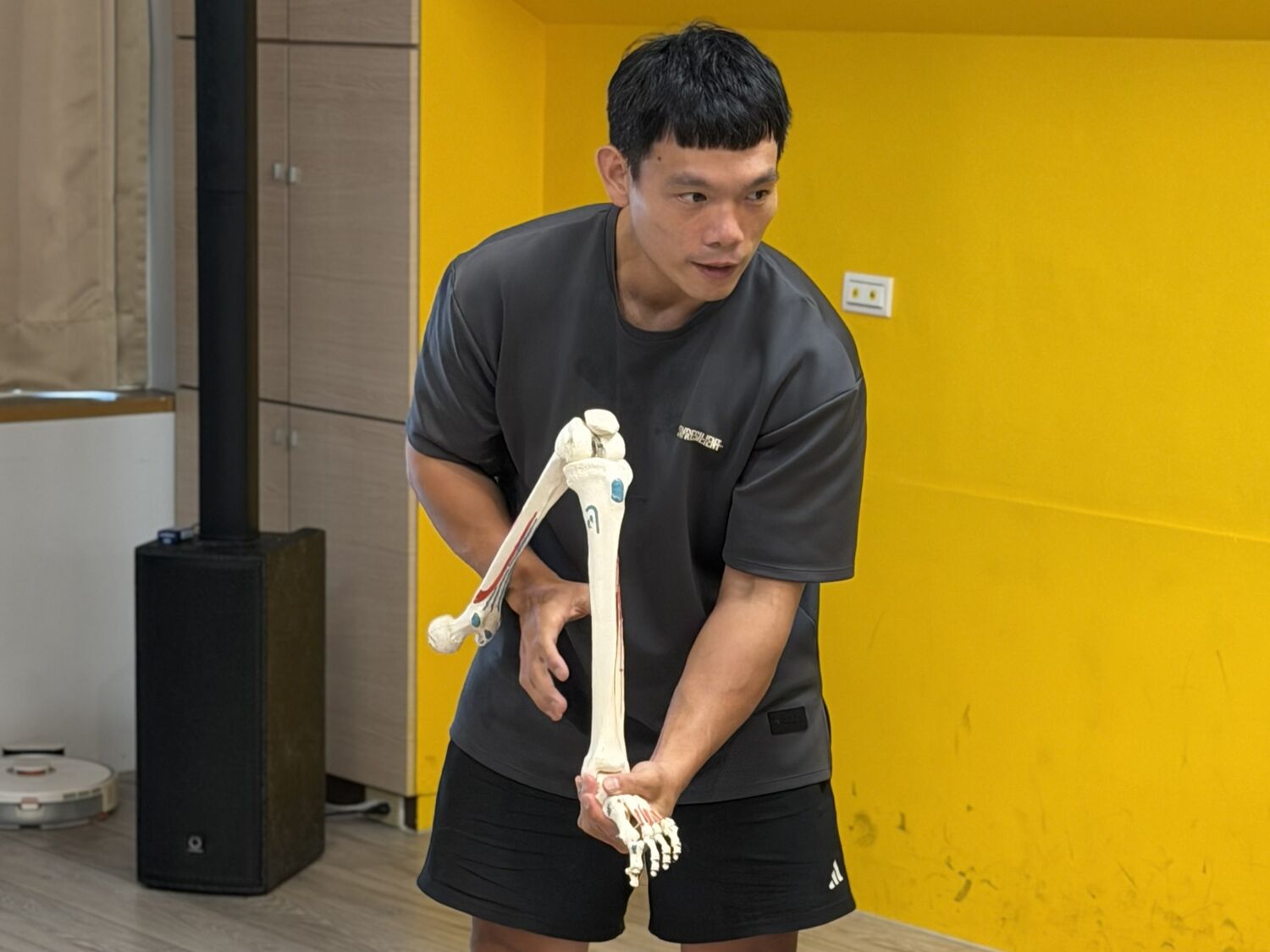 講師實作紀錄｜骨骼模型講解