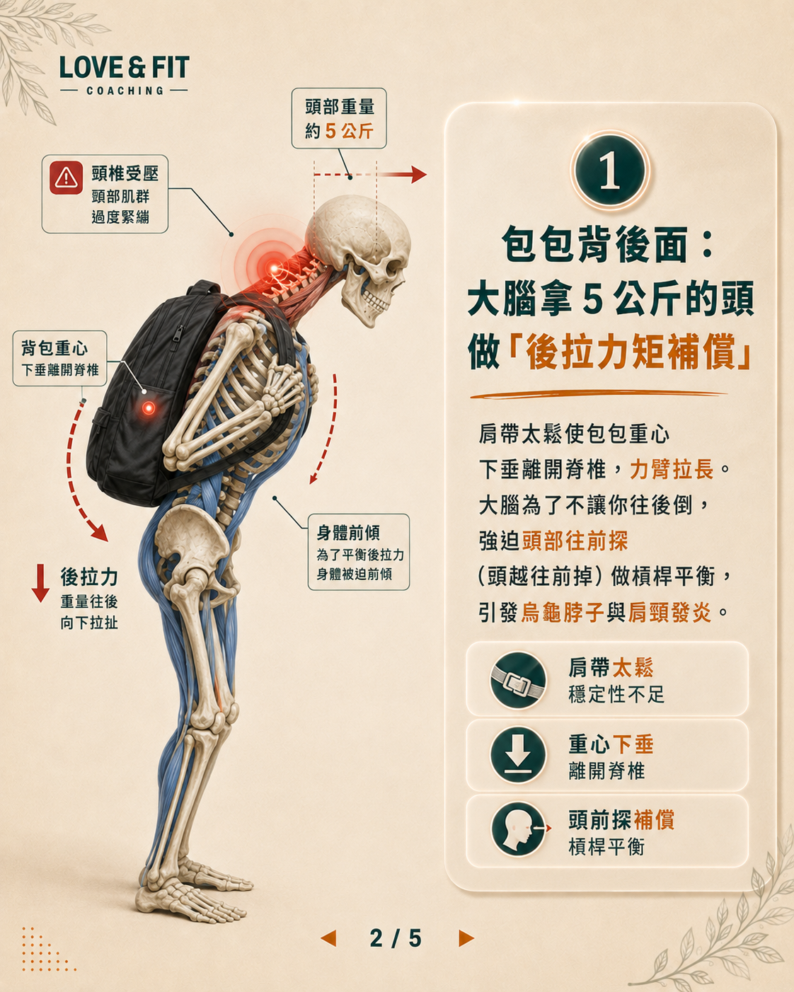 後背力學與代償圖卡