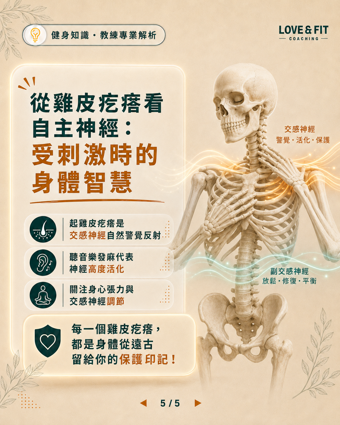 自主神經總結圖卡