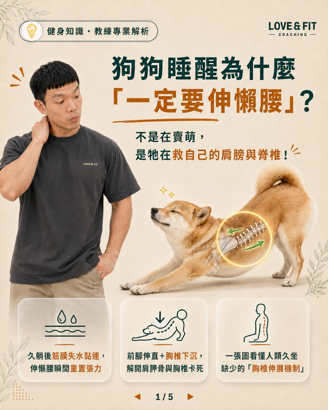 狗狗睡醒為什麼一定要伸懶腰？解密胸椎伸展與肩胛解壓 圖卡01