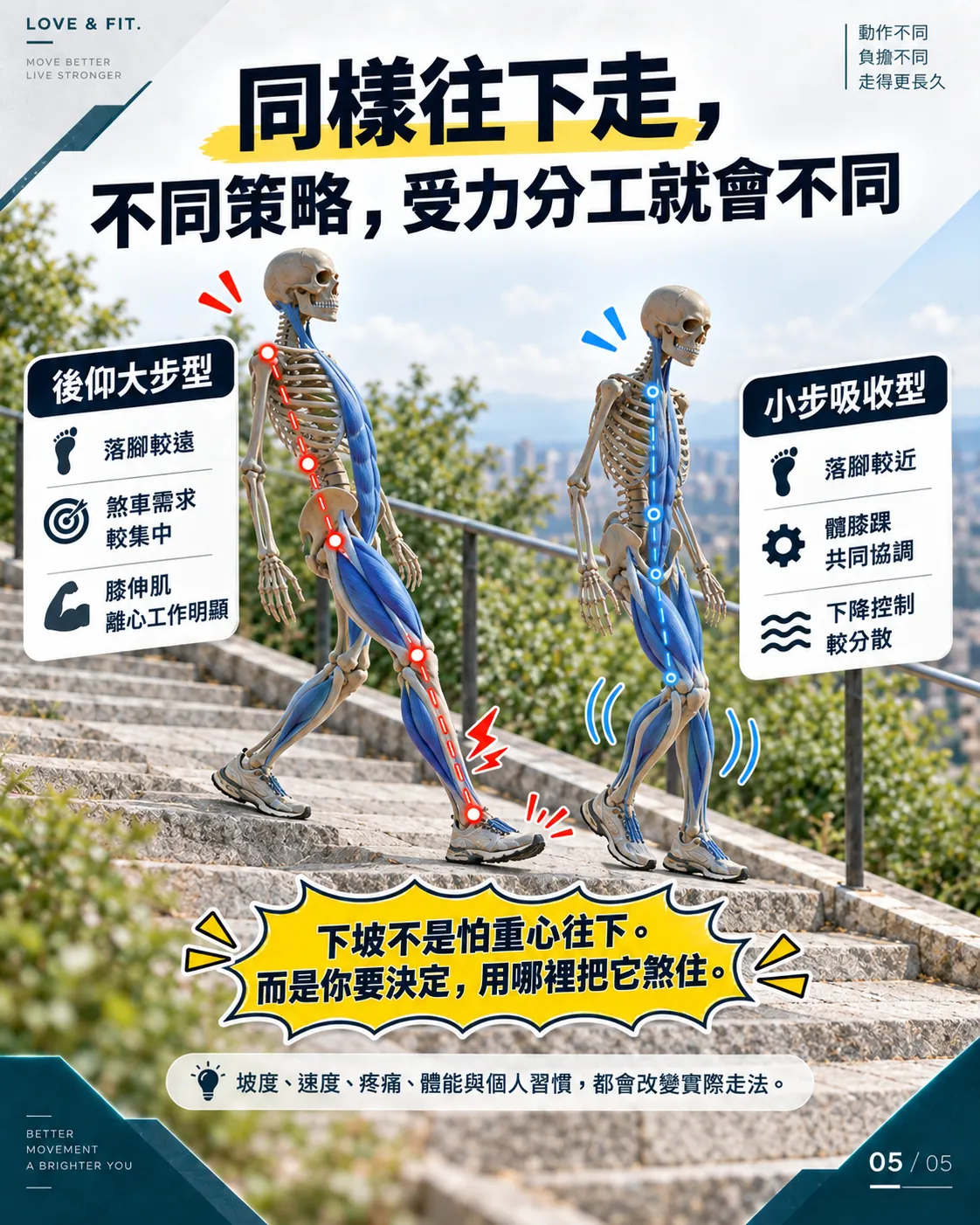 兩種策略受力分工總結圖卡