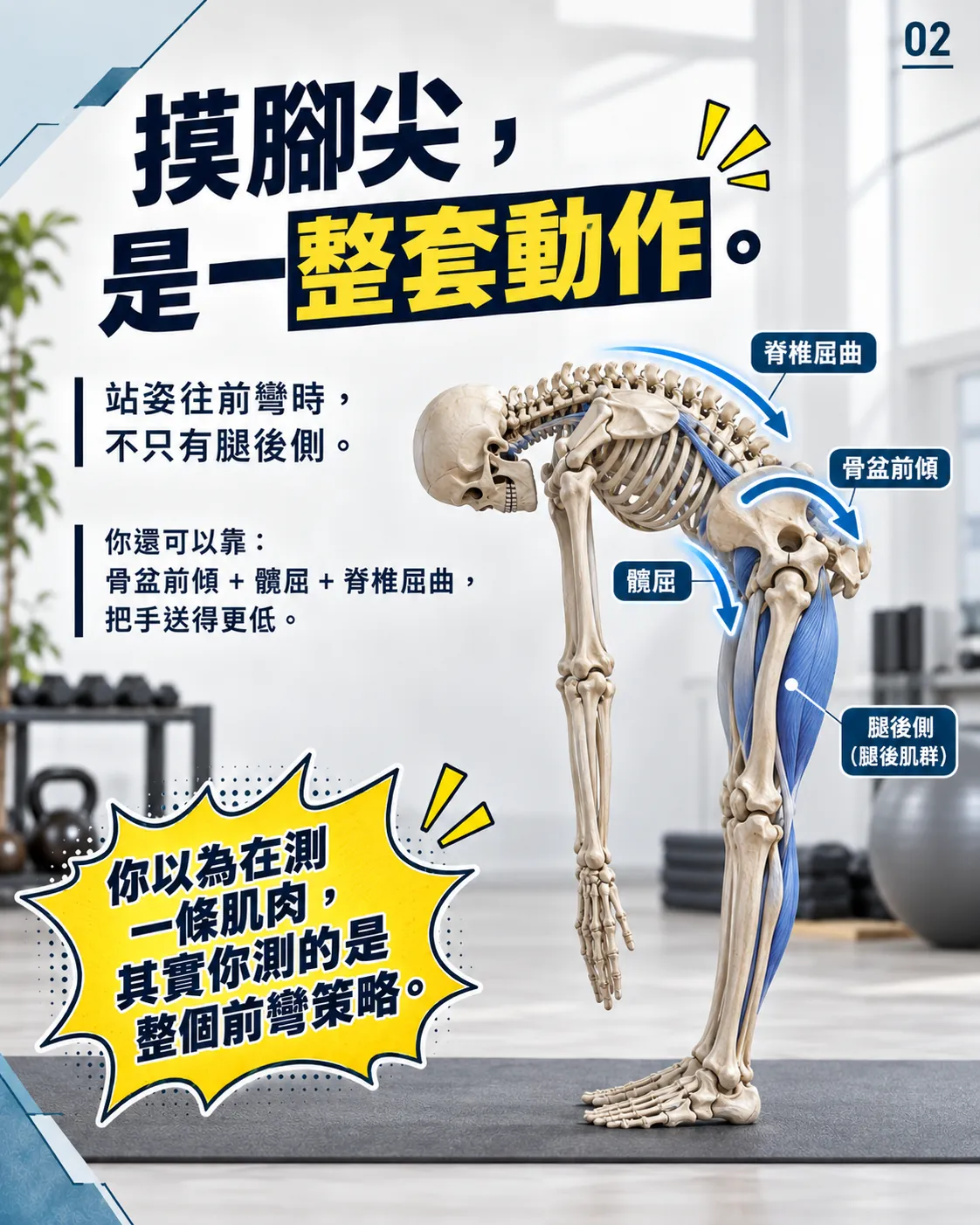 摸腳尖，是一整套動作。